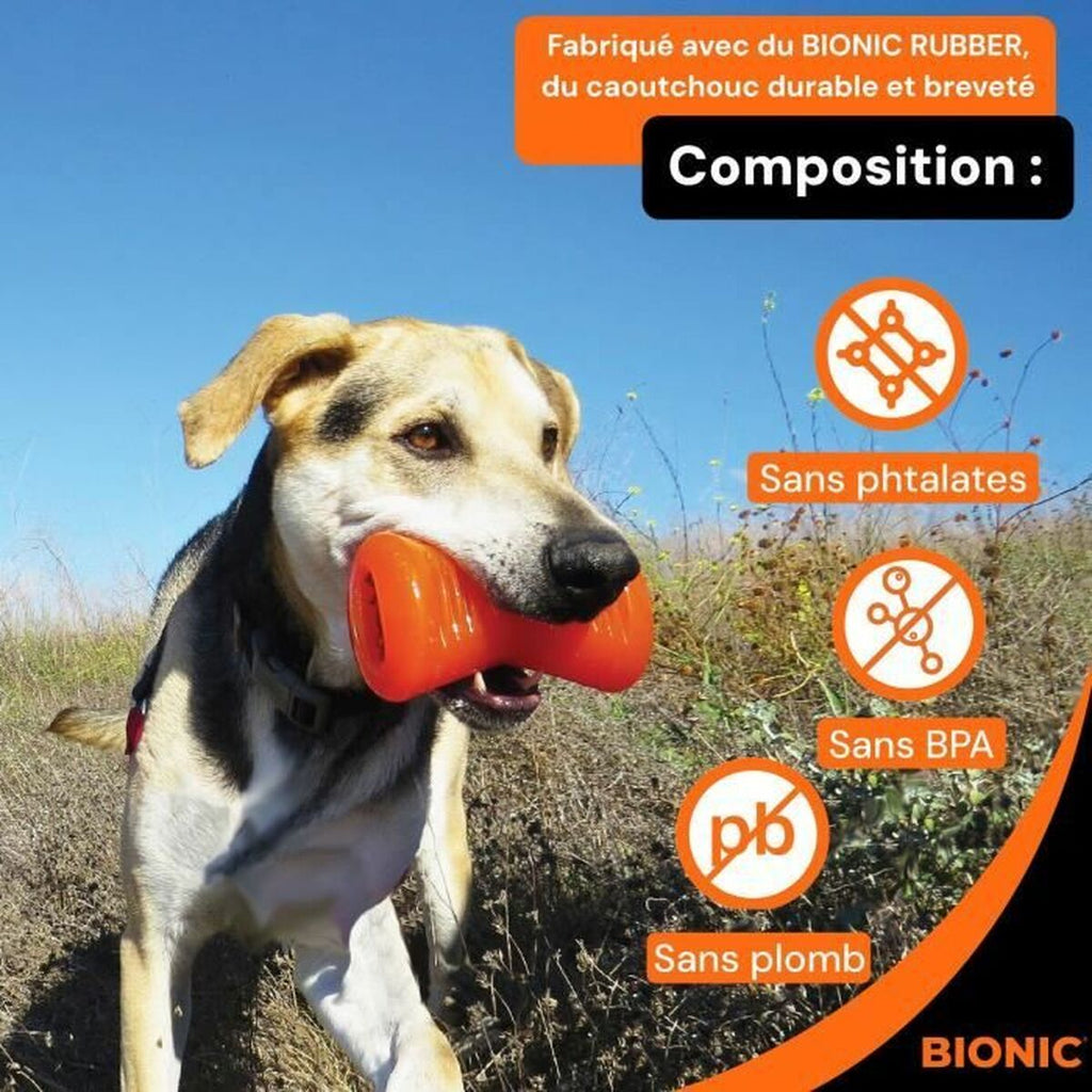 Dog chewing toy Bionic Urban stick Orange M Bone-2
