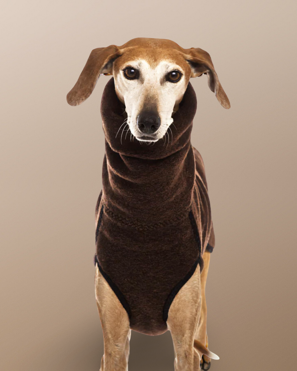 The Windsor High-Neck Coat