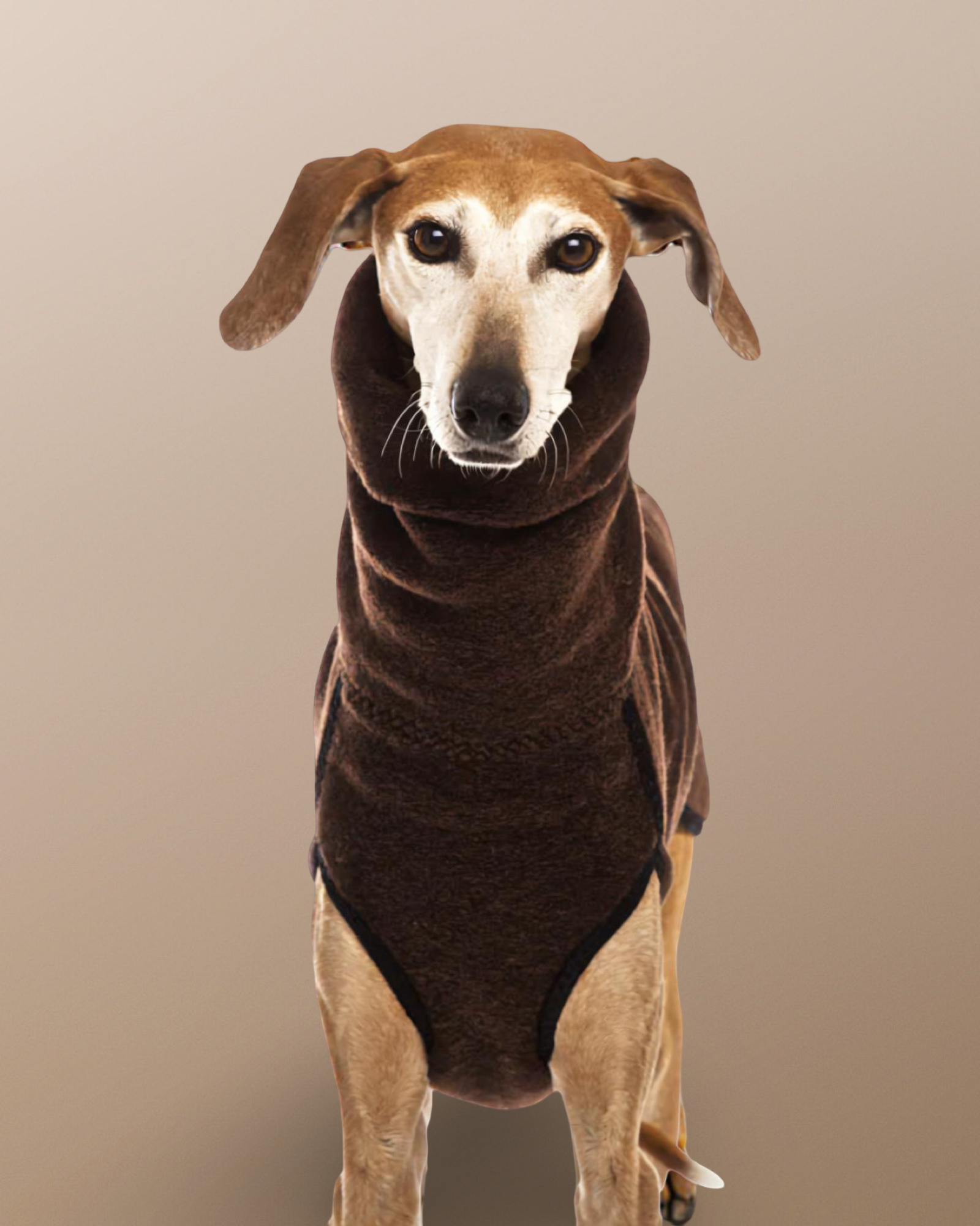 The Windsor High-Neck Coat