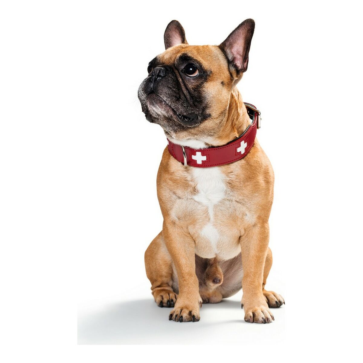 Dog collar Hunter Swiss Red/Black 35-43 cm-2