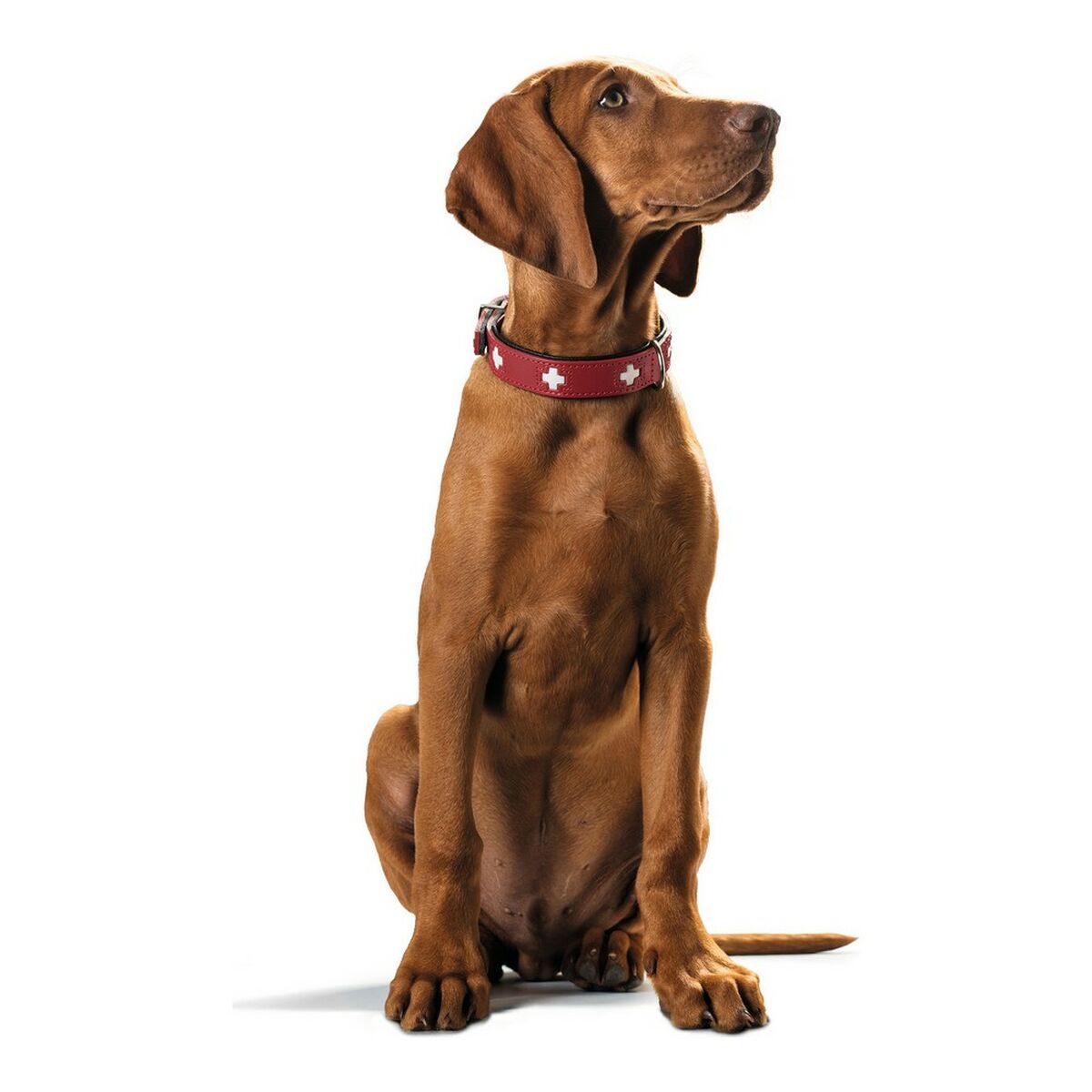 Dog collar Hunter Swiss Red/Black (35-39.5 cm)-3