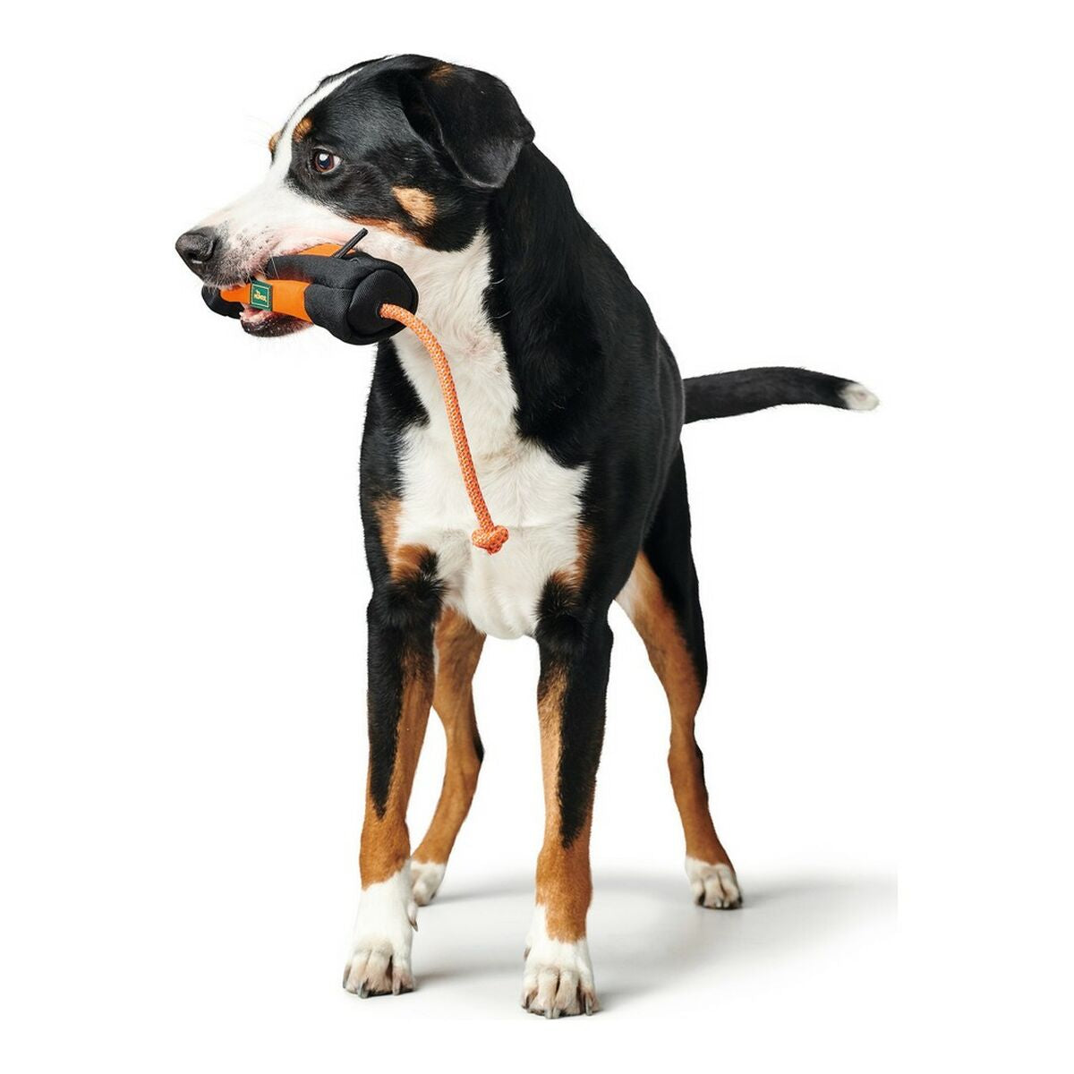 Packaging Hunter Dummy Snacks Black Orange-3