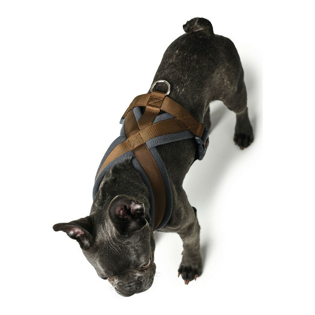 Dog Harness Hunter London Comfort XS-S 39-47 cm Brown-0