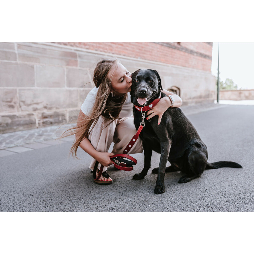 Dog Lead Hunter Red 2 m Adjustable-4