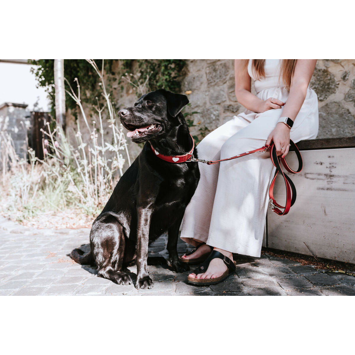 Dog Lead Hunter Red 2 m Adjustable-3