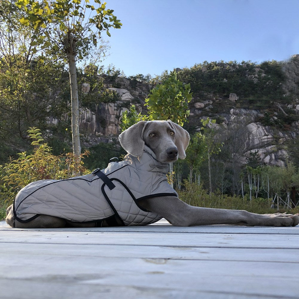 The Sentinel Reflective Dog Jacket