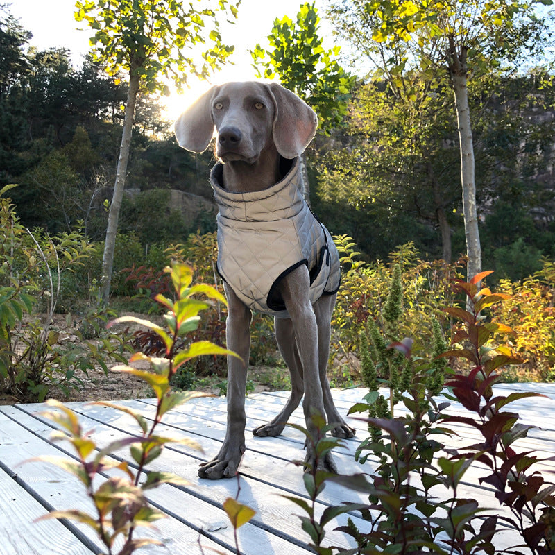 The Sentinel Reflective Dog Jacket