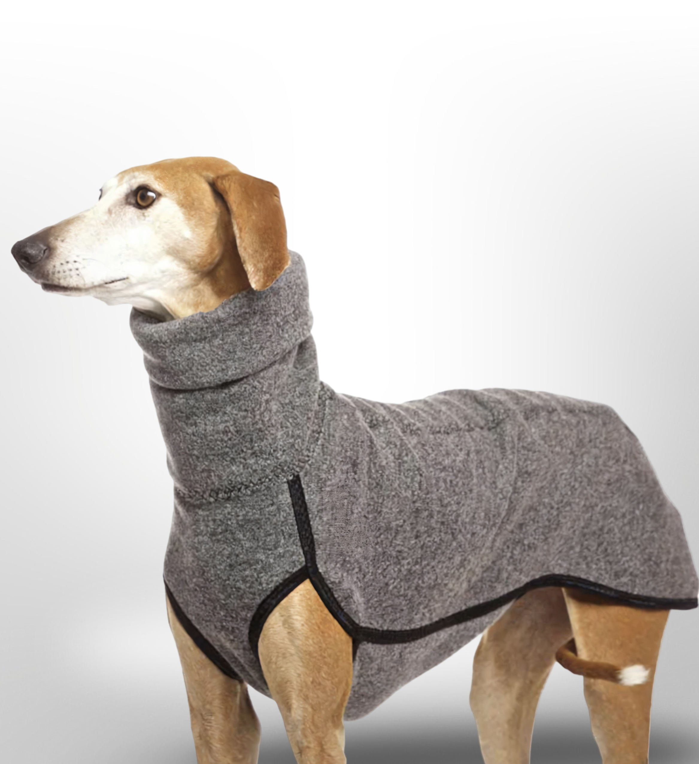 The Windsor High-Neck Coat