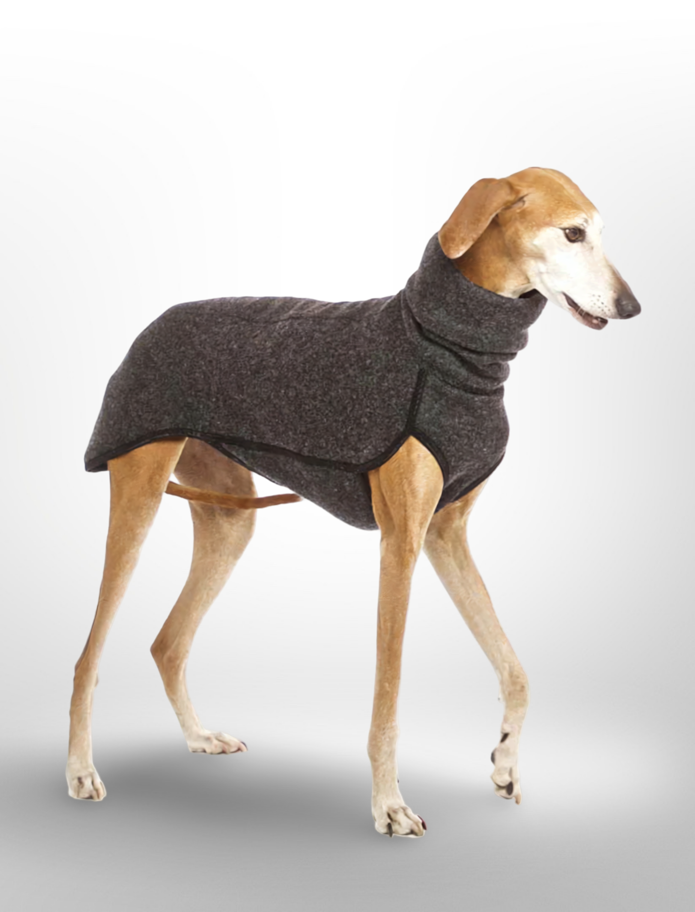 The Windsor High-Neck Coat