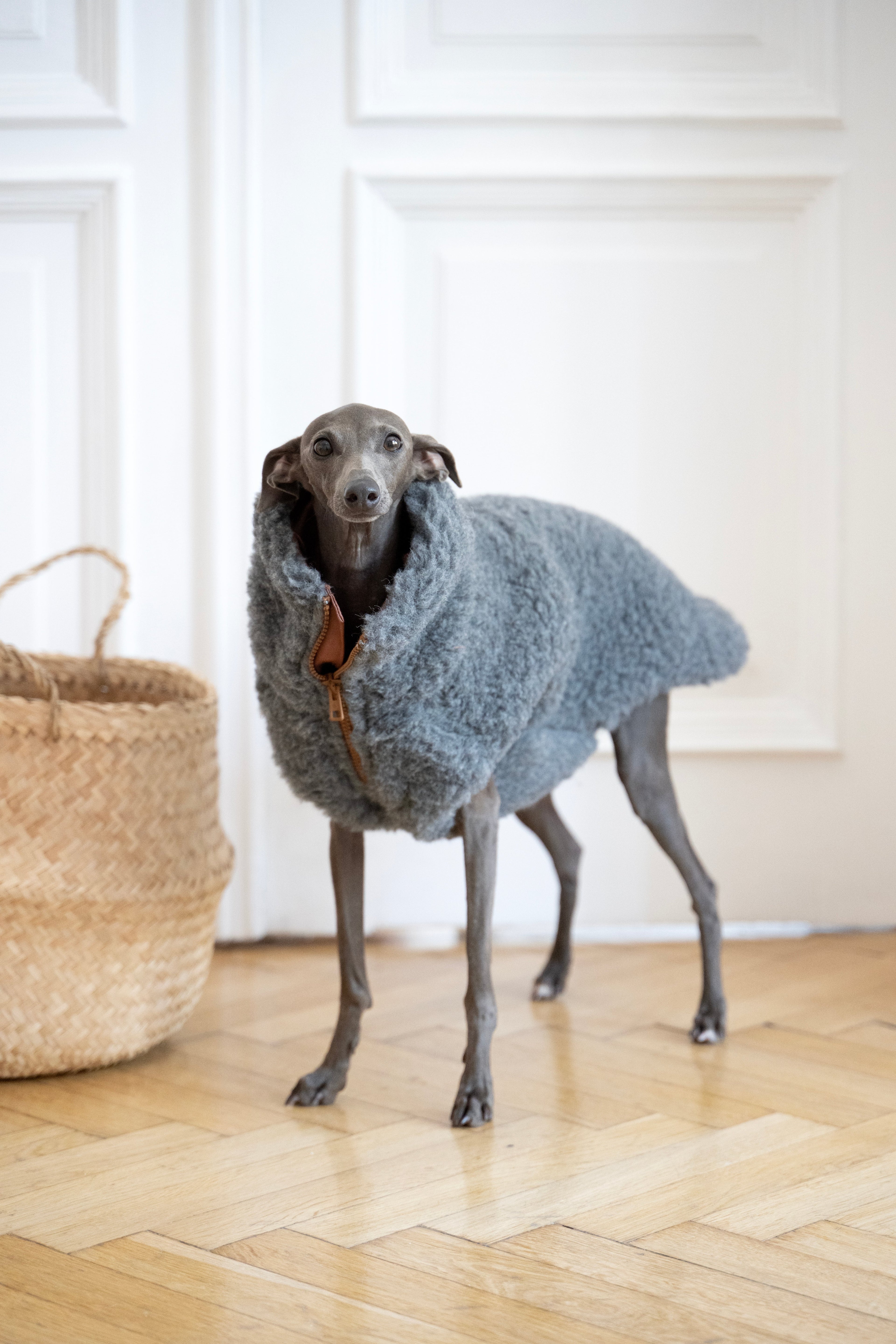 Woolen Dog Vest - Dark Grey-2