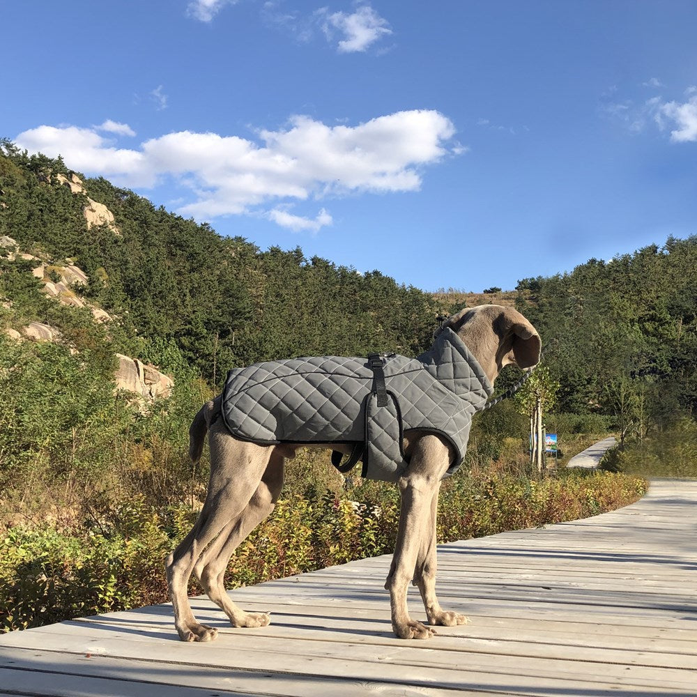 The Sentinel Reflective Dog Jacket