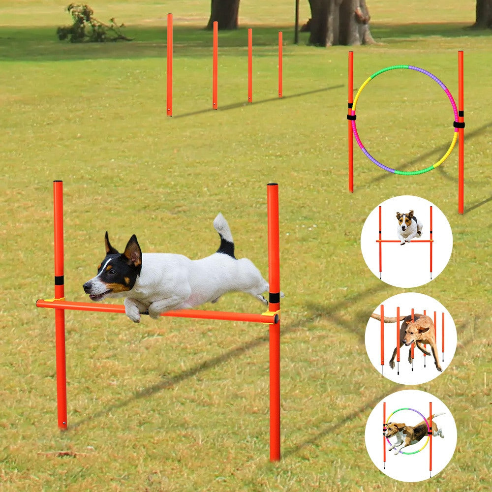 Dog Agility Training Equipment-0